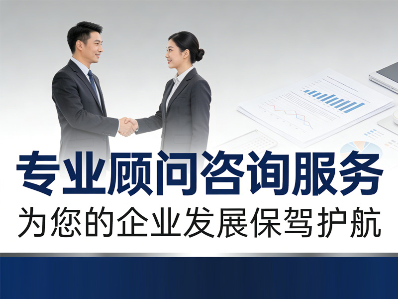 顾问咨询服务