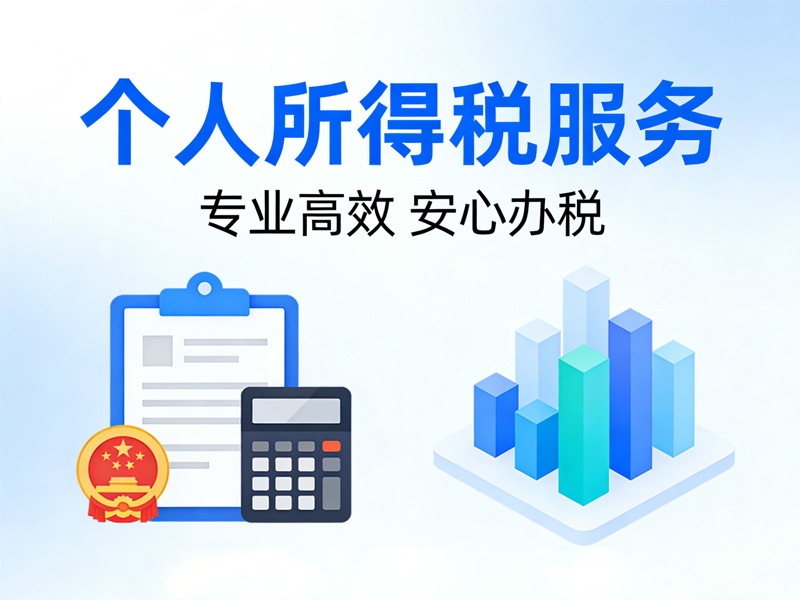 个人所得税服务